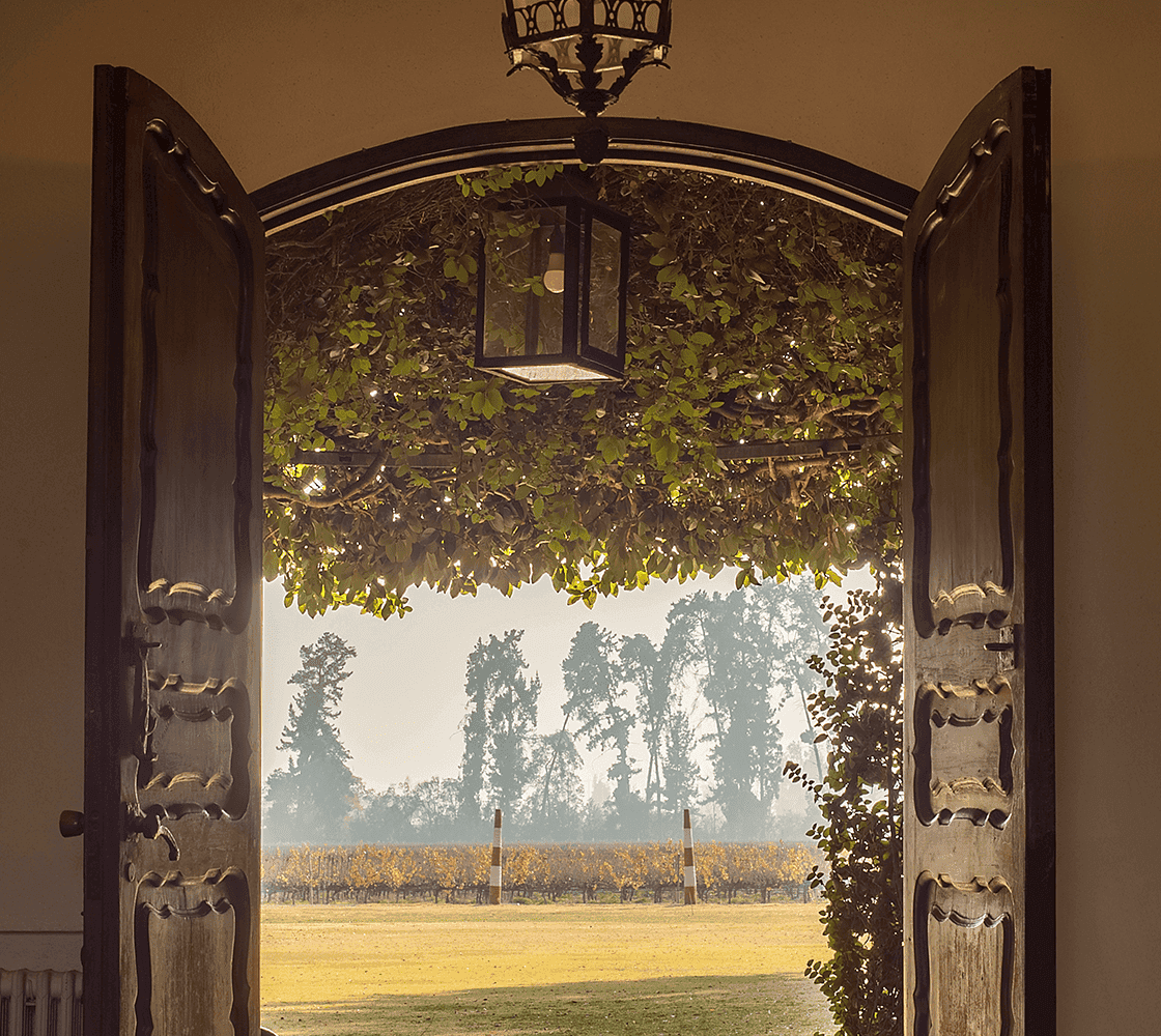The doors of the Estate House opening onto the Viñedo Chadwick vineyards